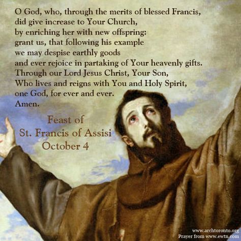 Prayer for the feast day of St Francis of Assisi Feast Of St Francis Of Assisi, St Francis Of Assisi Feast Day, Saint Francis Xavier, Novenas Catholic, Catholic Prayers Daily, St Clare, Grand Father, Catholic Doctrine, Francis Xavier