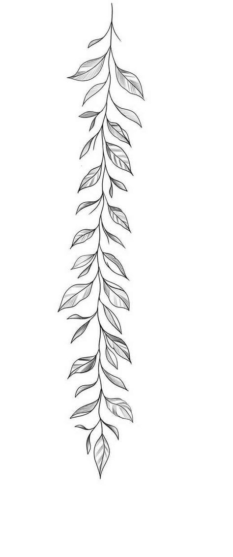 Vintage Objects Tattoo, Leaf Vine Drawing Tattoo, Vine Leaf Tattoos For Women, Flowers Band Tattoo, Vine Floral Tattoo, Vine Tattoo Drawing, Floral Vine Drawing, Floral Band Tattoo Design, Leaf Tattoo Sleeve