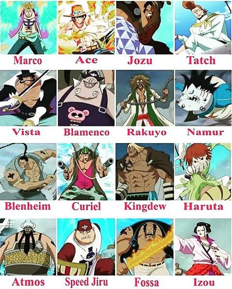 Woww!! They are commando of Shirohige Pirates?? WHO the favourite??!! ♡INDONESIA♡ Barba Branca One Piece, One Piece Whitebeard, Marco Ace, Edward Newgate, One Piece Bounties, Whitebeard Pirates, Devil Fruit, Ace One Piece, Anime Siblings