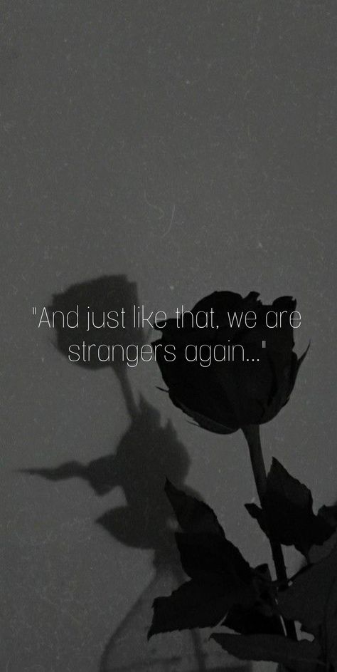 Aesthetic sad wallpaper love quote We Are Strangers Again, We Are Strangers, Strangers Again, Him Aesthetic, Stranger Quotes, Wallpaper Quote, Everything And Nothing, And Just Like That, Feeling Down