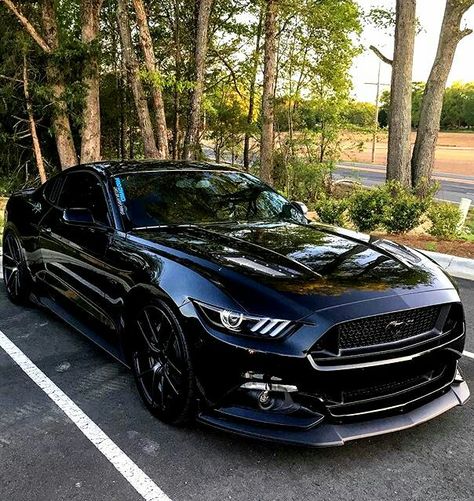 Mustang GT Black Mustang Gt, Sports Cars Mustang, Shelby Mustang Gt500, Mobil Mustang, Black Mustang, Mustang Car, New Mustang, Mustang Gt500, Shelby Mustang