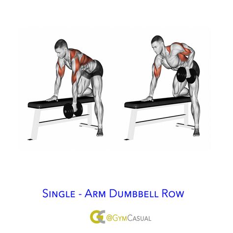 Single-arm dumbbell row Single Arm Db Row, Dumbbell Single Arm Row, Single Arm Dumbbell Row, Dumbbell Upright Row, One Arm Dumbbell Row, Dumbbell Row, One Arm Row, Single Arm Row, T Bar Row