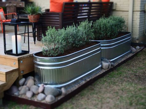 Container Gardening Landscape Front Yards, Trough Planter Ideas, Stock Tank Gardening, Horse Trough, Honey House, Garden Troughs, Trough Planter, Galvanized Planters, Water Trough