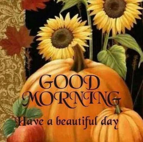 Good Morning Have a Beautiful Day pumpkin greetings good morning good morning greeting good morning quote good morning poem good morning blessings good morning friends and family good morning coffee autumn good morning fall good morning Good Morning Beautiful Day, Quotes Good Morning, Good Morning Today, Morning Quotes Funny, Adornos Halloween, Cute Good Morning Quotes, Psychic Medium, Cute Good Morning, Morning Blessings