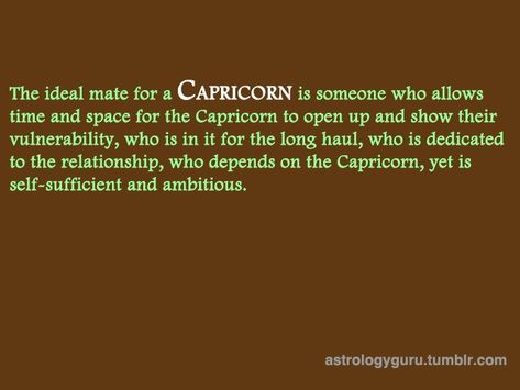 Capricorn Sun Sign, Capricorn Lover, Astrological Chart, Capricorn Love, Capricorn And Virgo, Capricorn Women, Capricorn Facts, Sign Meaning, Capricorn Man