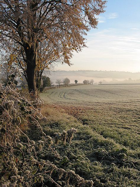 English Countryside Winter, Winter Places, Country Aesthetic, Cosy Cottage, British Countryside, Exotic Places, Autumn Scenes, Summer Plans, Winter Scenery