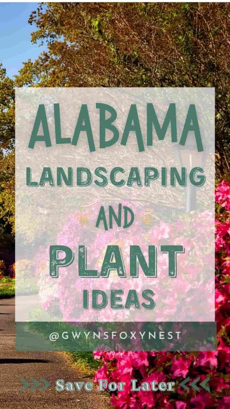 Discover stunning Alabama landscape ideas to enhance your garden with native plants, water-efficient designs, and wildlife-friendly features. Learn how to create a beautiful, sustainable yard that thrives in Alabama’s unique climate. Alabama Landscaping Ideas, Alabama Landscape, Alabama Gardening, Sustainable Yard, Landscape Ideas, Cool Plants, Native Plants, Country House, Alabama