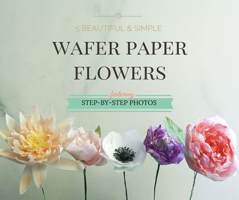 New wafer paper flower tutorial and future goodies – Olofson Design Cake Studio Wafer Paper Flowers Tutorial, Wedding Cake Fondant Flowers, Wedding Cakes Fondant, Wafer Flowers, Wafer Paper Tutorial, Paper Flowers Tutorial, Cakes Fondant, Sugar Flowers Tutorial, Wedding Flowers Hydrangea