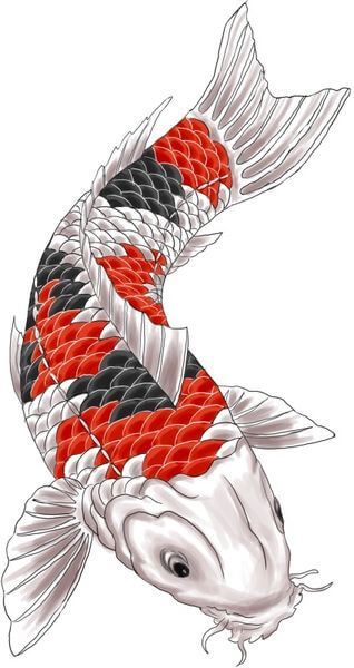 Koi Tattoo Design - see more designs on http://thebodyisacanvas.com Pez Koi Tattoo, Karp Koi, Carp Tattoo, Japanese Koi Fish Tattoo, Koi Tattoo Design, Koi Fish Drawing, Kunst Tattoos, Koi Art, Koi Tattoo