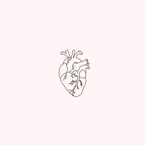 Эскиз контурный/сердце Realist Heart Tattoo, Human Heart Outline Tattoo, Atomical Heart Tattoos Simple, Red Human Heart Tattoo, Reflection Tattoo Ideas For Women, Small Real Heart Tattoo, Small Realistic Heart Tattoo, Fine Line Anatomical Heart Tattoo, Burning Heart Tattoo Minimal