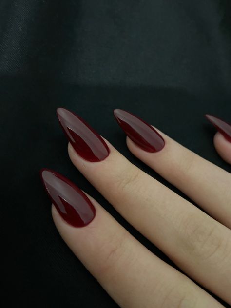 Blood Red Almond Nails, Red Nails Pointy, Ada Aesthetic, Dark Red Nail Art, Blood Red Nails, Red Wine Nails, Red Stiletto Nails, Dark Red Nails, Wine Nails