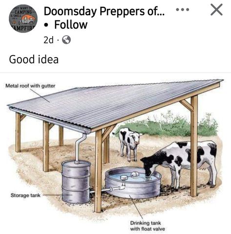 Cow Lean To Shelters, Home Steading Farms, Cow Stable Ideas, Animal Sanctuary Ideas Farm, Mini Cow Farm, Farm Life Hacks, Hobby Farm Ideas Diy Projects, Farm Must Haves, Farm Setup Ideas