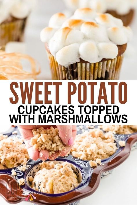 Sweet potato cupcakes are a perfect fall treat! Top them with mini marshmallows to recreate the flavor of a sweet potato casserole. Potato Cupcakes, Sweet Potato Cupcakes, Cupcake Project, Thanksgiving Food, Thanksgiving Desserts, Fall Treats, Sweet Potato Casserole, Potato Casserole, Mini Marshmallows