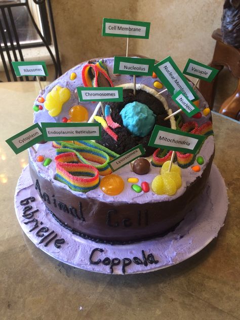 Animal Cell Cake Candy Animal Cell Model, Cell Cakes Project, Animal Cell Food Project, Animal Cell Cake Project Ideas, Cake Cell Model, Cake Cell Project Ideas, Candy Cell Model, Animal Cell Edible Project, Cell Cake Project Ideas