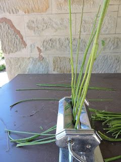 weaving magic naturally: Preparing Stinging Nettle Fibre. Weaving With Plants, Foraged Fibers, Foraged Fibres, Decorating With Nature, Spinning Yarn Fiber, Flax Weaving, Basket Weaving Diy, Edible Wild Plants, Stinging Nettle