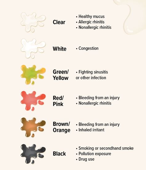 Ever notice your snot changing colors? 🌈🤧 It's like a mood ring for your nose! From clear to green or even black, your mucus color can give some clues about what's going on inside. Let's decode those snot signals together! #NoseNews #herbspro Mucus Color Chart, Mucus Color, Healthy Juice Recipes, Mood Ring, Island Design, Healthy Juices, Juicing Recipes, How To Raise Money, How To Stay Healthy