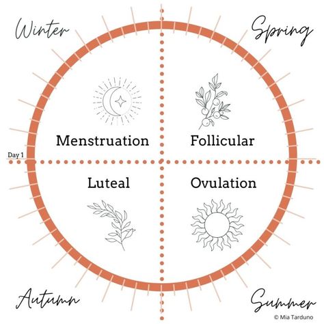 Running with Your Cycles | Trail Sisters® Menstrual Cycle Chart, Menstrual Cycle Phases, Menstruation Cycle, Period Blood, Period Cycle, Woman Health, Womb Healing, Moon Time, Red Tent