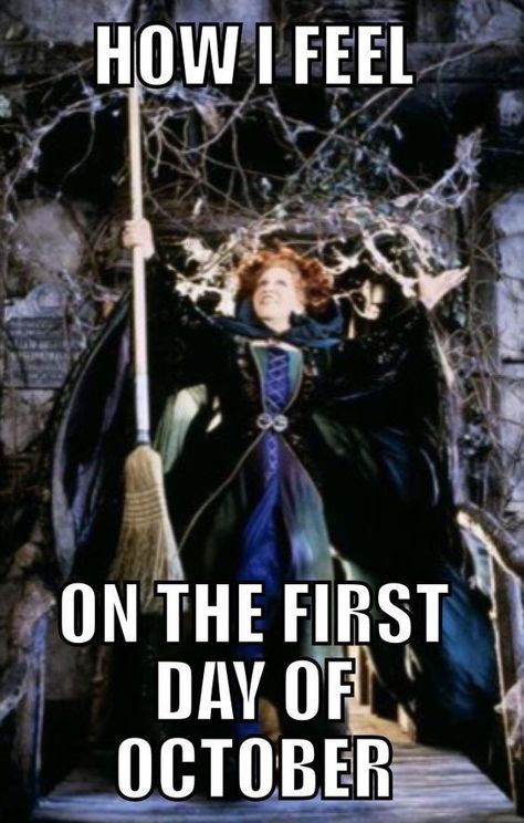 September Is Halloween Eve, Halloween Season Quotes, October Quotes Halloween, October Eve, Hocus Pocus Funny, October Funny, Hermanas Sanderson, October First, Halloween Meme