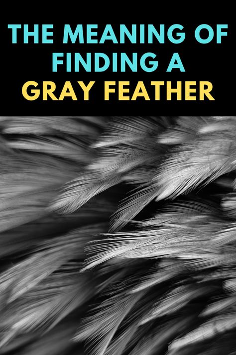 Spiritual Meaning Of Feathers, Gray Feather Spiritual Meaning, Grey Feather Spiritual Meaning, Finding Feathers Meaning, Gray Feather Meaning, Grey Feather Meaning, Black Feather Meaning, White Feather Meaning, Meaning Of Feathers