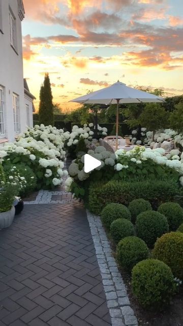 H E D G E L O V E R _ 💚💚 on Instagram: "You really can't beat the combination of Annabelle Hydrangeas & Boxwoods.. 💚💚
.
This is @gncgarden's stunning garden. 💚💚
.
.
.
.
.
.
.
.
.
. 
#hedgelover_ #topiarylover_ #bloomlover_ #traveltopiary
#hydrangea #summergarden #flowers #smallgardenideas #gardeningtips #gardenstyle #outdoorphotography #reels #reelsinstagram #foryou #flowerlovers" Hortensia Annabelle, Annabelle Hydrangea, Small Gardens, Summer Garden, Garden Styles, Outdoor Photography, Hedges, Gardening Tips, You Really