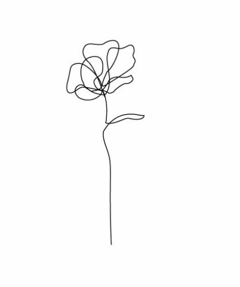 Carnation One Line Drawing, Single Line Marigold Tattoo, Carnation Flower Simple Drawing, Marigold Minimalist Tattoo, Single Line Poppy Tattoo, Andiamo Tattoo, Carnation Line Tattoo, Orchid Fine Line Tattoo, Orchid Tattoo Minimalist