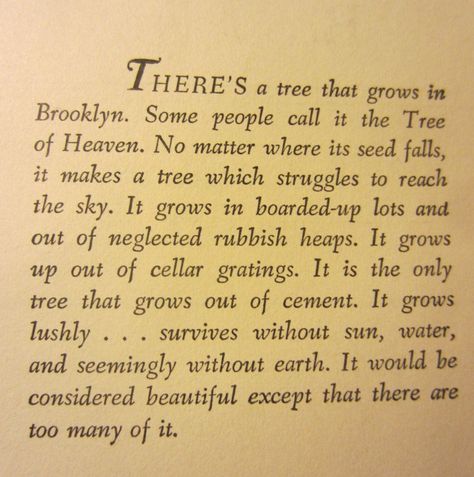 1940s novels | Reel Old Reads Brooklyn Quotes, A Tree Grows In Brooklyn, Tree Grows In Brooklyn, Silly Words, Tree Quotes, Best Quotes From Books, World Of Books, What To Read, Growing Tree