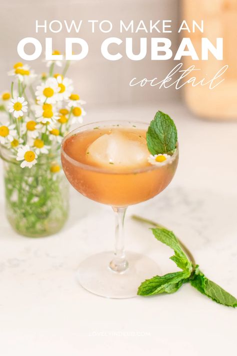 The Old Cuban cocktail is a perfect combination of fresh mint, deep rum, and effervescent champagne. Try it at your next celebration. Similar to a Mojito but with a few added ingredients, it's sophisticated yet celebratory! Old Cuban Cocktail, Cocktail Recipes Easy, Easy Cocktails, Holiday Cocktails, Cocktail Recipe, Fresh Mint, Mojito, Cocktail Recipes, Try It