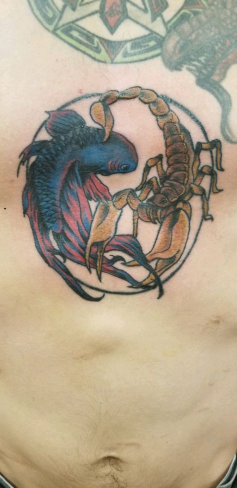 Aquarius and Scorpio sternum piece. For my best friend my wife. Fish And Scorpion Tattoo, Scorpion And Pisces Tattoo, Pieces And Scorpio Tattoo, Scorpio Aquarius Tattoo, Aquarius Scorpio Tattoo, Scorpio And Pisces Tattoo Combined, Scorpio Pisces Tattoo, Aquarius And Scorpio Tattoo, Scorpio And Aquarius Tattoo