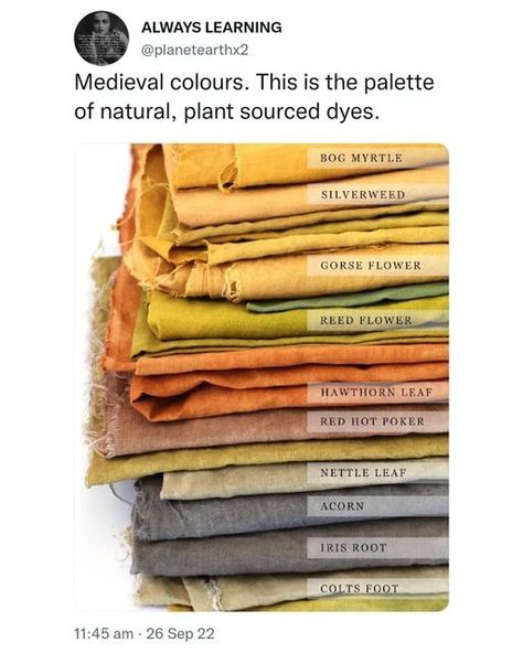 Astuces Diy, Plant Dyes, Book Writing Tips, Natural Plant, Diy Canvas, Art Tips, Drawing Tips, Writing Inspiration, Natural Dyes