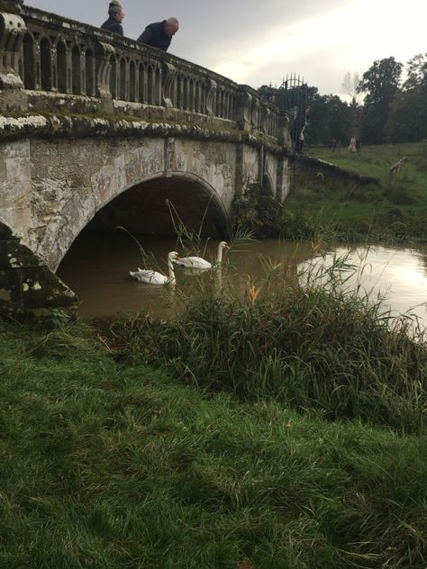 #bridge #swan #river #aesthetic River Bridge Aesthetic, Baudelaire Aesthetic, Aesthetic Bridge, Bridge Aesthetic, River Aesthetic, Swan River, Sitting In A Tree, River Cottage, Take Me To Church