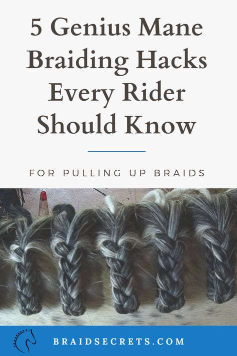 Hunter Braids Horse, Braiding Horse Manes, Horse Braiding Ideas, Horse Braids Mane, Horse Mane Styles, Horse Stretches, Mane Braiding, Horse Groundwork, Mane Braids