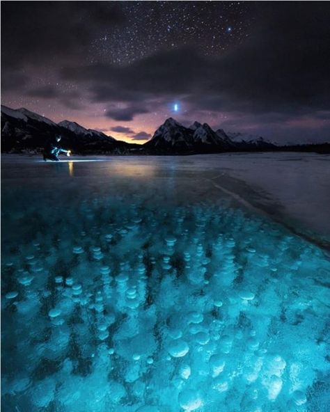 Methane Bubbles, Windsor London, Frozen Bubbles, Abraham Lake, Water Frame, Below The Surface, Body Reference Poses, Frozen Lake, Prince Edward Island