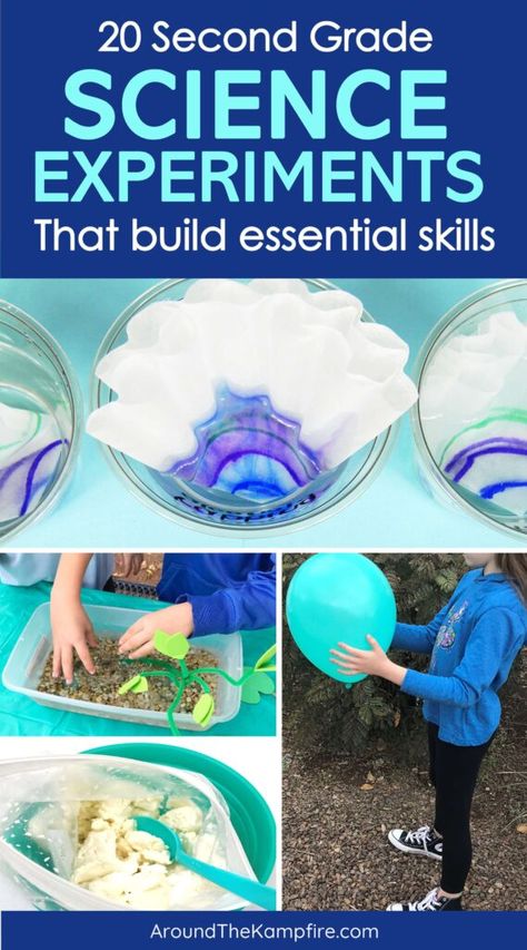 Adaptations Science, 2nd Grade Science, Water Erosion, Science Process Skills, Easy Science Projects, Plant Adaptations, Fun Lesson Plans, Earth Changes, Second Grade Science