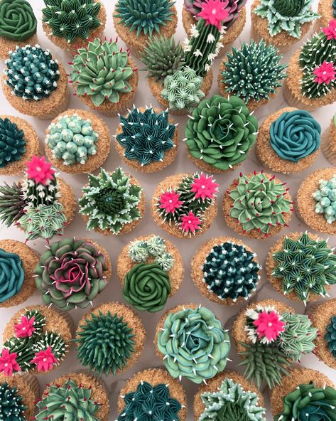 Kerry's Bouqcakes | Gallery - Cacti and Succulent Cupcakes Caroline Cake, Cupcakes Number, Cupcake Tools, Pen Sketch Ideas, Geode Cakes, Creative Pies, Buttercream Flowers Cupcakes, Cupcake Flower Bouquets, Cactus Cupcakes