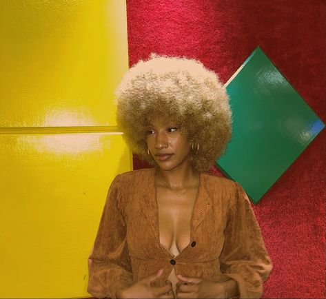 70’s blonde Afro Blonde 4c Afro, Blond 4c Hair, Blonde Afro Hair Black Women, Hairstyle Blackgirl, Blonde 4c Hair, Afro Colors, Honey Blonde Afro, Blonde Afro Wig, Blonde Black Women