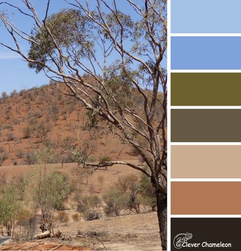 Australian Bush House Interior, Australian Colours Palette, Australian Outback Colour Palette, Australia Colour Palette, Australian Bush Colour Palette, Australian Colour Palette, Bush Camp, Australian Colours, Earth Colour Palette