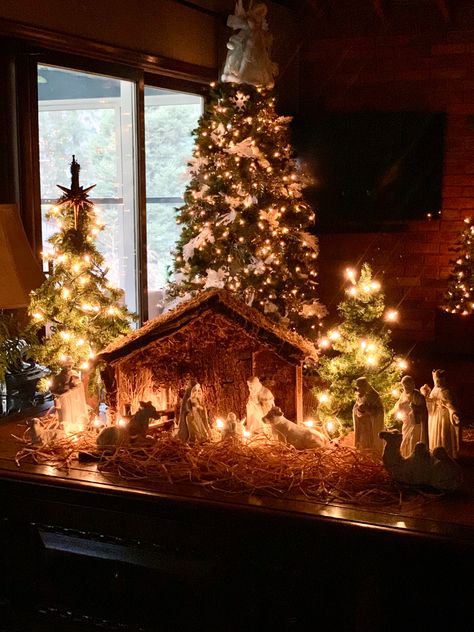 Catholic Christmas Decorations, Navity Scene, Manger Scenes Nativity, Christmas Nativity Scene Display, Nativity Display, Nativity Ideas, Jesus Decor, Nativity Scene Display, Christmas Crib