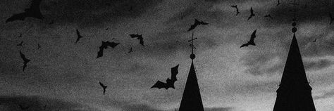 Dark Youtube Banner, Facebook Cover Photos Aesthetic Dark, Grey Discord Banner, Black And White Twitter Header, Vampire Header, Goth Header, Black Aesthetic Banner, Vampire Banner, Emo Banner