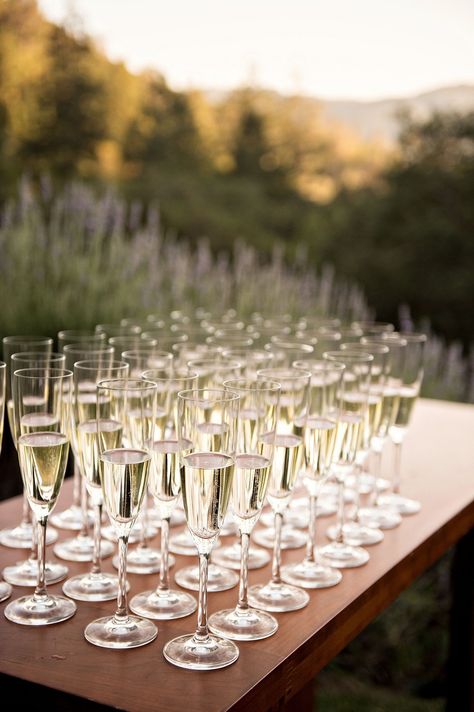 Champagne At Ceremony, Champagne Before Ceremony, Pre Ceremony Champagne, Champagne Before Wedding Ceremony, Champagne At Wedding Ceremony, Wedding Ceremony Champagne, Ceremony Champagne, Wine Country Wedding Venues, Ocean View Hotel