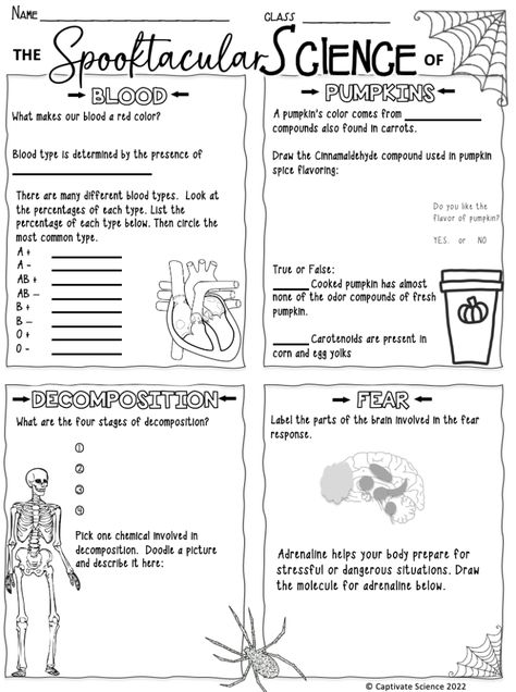 Blog post for planning and middle school science halloween lesson. Fun experiments and this print and go worksheet! FREE Fall Worksheets For Middle School, Halloween Science Worksheets, Middle School Halloween Science, Halloween Lesson Plans Middle School, Health Science Activities High School, Science Games Middle School, Science Experiments Middle School, 7th Grade Science Classroom, 7th Grade Science Worksheets