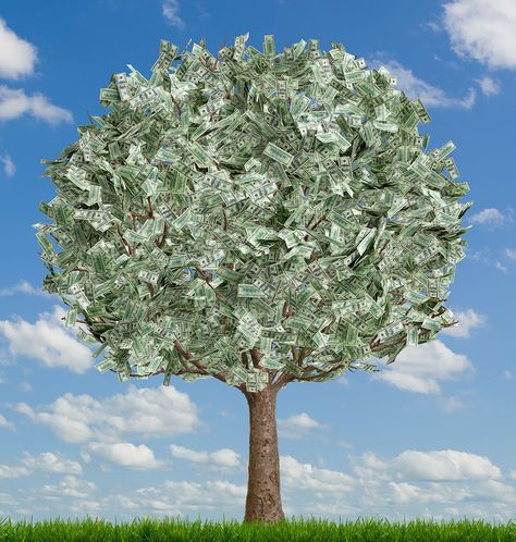 Creative Money Gifts, Gold Money, Business Funding, Money Tree, Show Me The Money, Money Magnet, Money Trees, Beautiful Tree, Financial Freedom