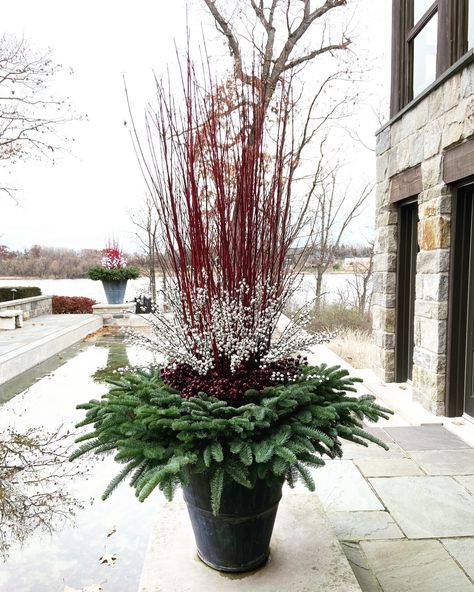 Winter Planter Ideas, Red Twig Dogwood, Deborah Silver, Outdoor Christmas Planters, Twig Dogwood, Dogwood Branches, Faux Branches, Winter Arrangements, Winter Planter