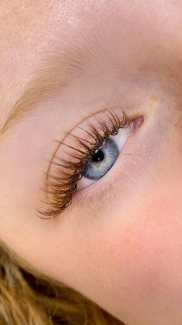 Brown Wet Set Lashes, Brown Wispy Lashes, Redhead Lash Extensions, Ginger Lash Extensions, Blonde Eyelashes, Blonde Lash Extensions, Brown False Lashes, Natural Brown Lash Extensions, Brown Eyelashes