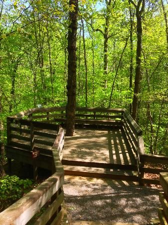 Hemlock Bluffs Nature Preserve, Cary NC Cary North Carolina, Living In North Carolina, Carolina Mountains, North Carolina Homes, Cary Nc, Durham Nc, Nature Preserve, Oh The Places Youll Go, 2 On