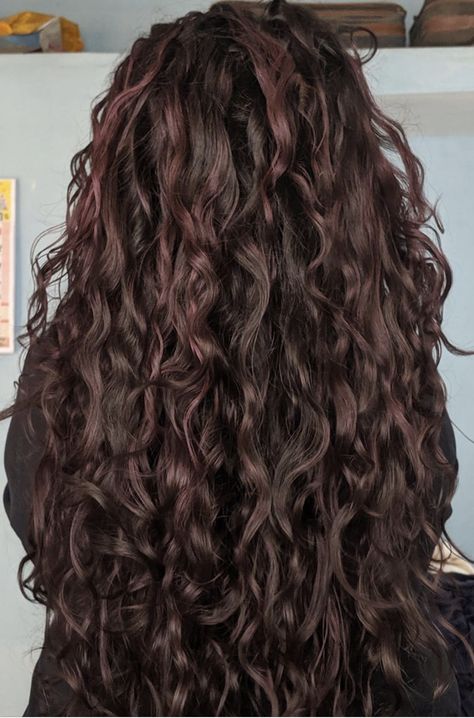 Deep Chocolate Brown Curly Hair, Hair Inspo Color Brunettes Curly, Dark Cherry Curly Hair, Cherry Brown Curly Hair, Hair Colour For Curly Hair, Deep Chocolate Brown Hair, Cherry Brunette, Brunette Shades, Long Thick Curly Hair