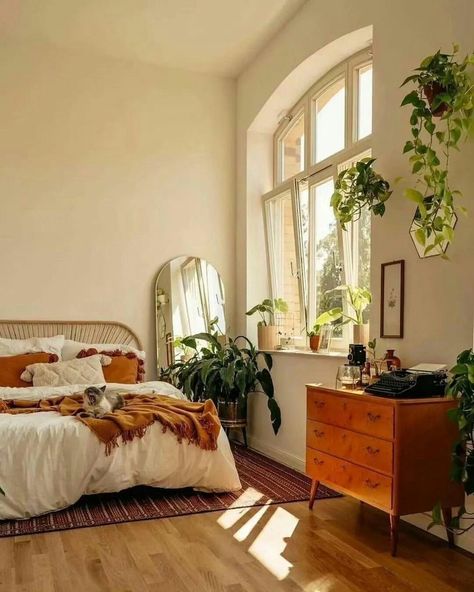 Mexican Apartment Aesthetic, Mexican Apartment, Apartment Aesthetic, Apartment Decor, Paradise, Apartment, Quick Saves, Home Decor, Home Décor