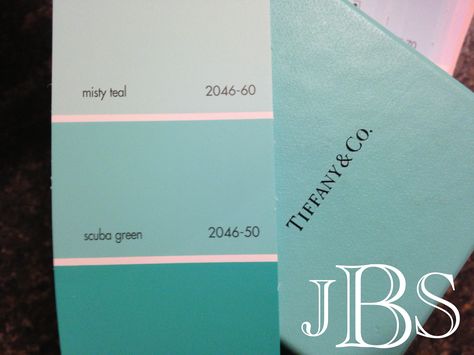 A few months ago, I was discussing front door colors with a Twitter follower (@latinabug_nj). I had just painted our front door Wythe Blue from Benjamin Moore & also, updated the storm door wit… Tiffany Blue Rooms, Tiffany Blue Paint, Blue Door House, Tiffany Blue Walls, Tiffany Blue Bathrooms, Tiffany Bedroom, Tiffany Blue Bedroom, Tiffany Room, Farrow & Ball