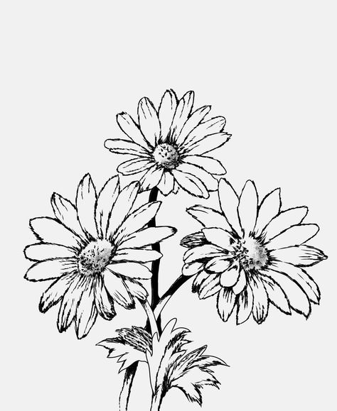 Chamomile, patience. Calendula Flower Drawing, Cat And Dog Tattoo, Simple Flower Drawing, Calendula Flower, Flower Sketches, Simple Flower, Dog Tattoo, Simple Flowers, Lotus Flower Tattoo