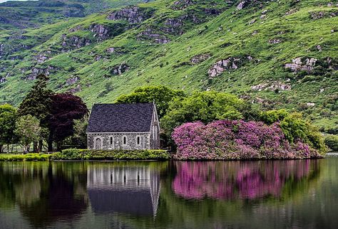 50 breathtaking images of West Cork, Ireland that will make you want to book a flight to Cork! – VisitWestCork Ireland Countryside, Ireland Tattoo, Ireland Aesthetic, Ireland Hotels, Ireland Pictures, County Cork Ireland, Ireland Photography, Castles In Ireland, West Cork