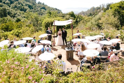 A complete list of the best Berkeley wedding venues, complete with photos! Old Roses, Redwood Wedding, Wedding San Francisco, Outdoor Venues, Second Weddings, Ceremony Venue, Best Wedding Venues, Outdoor Wedding Venues, Intimate Weddings